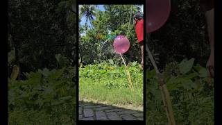 no551 hydrodynamic levitation demonstration of physics concepts kalponik duniya experiment bengali [upl. by Airamanna]