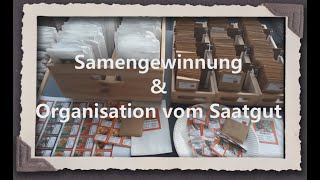 Samengewinnung amp Organisation vom Saatgut [upl. by Ankney]