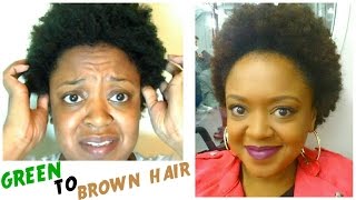 From GREEN to BROWN  How I CORRECTED my HAIR COLOUR  THE CURLY CLOSET [upl. by Rhee]