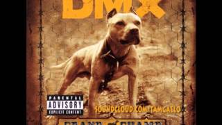 DMX  Dog Intro Instrumental Remake [upl. by Omrellug]