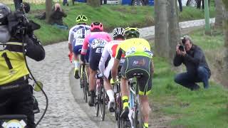 Omloop Het Nieuwsblad 2019 [upl. by Yras]