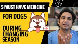 बदलते मौसम में Dog की 5 दवाइयाँkennel cough treatment home remedies during changing season [upl. by Nirik]