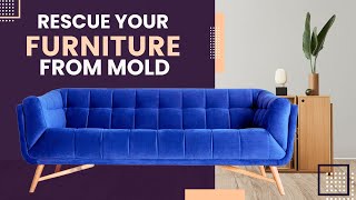 How To Remove Mold Stains From Fabric Furniture Quick Solutions [upl. by Suki]