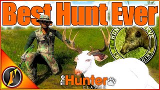 BEST HUNT EVER Insane Luck On Loggers Point  theHunter Classic [upl. by Aknayirp]