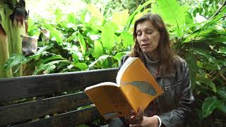 Ali Cobby Eckermann reads Unearth [upl. by Eelydnarb]