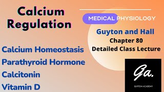 Calcium regulation  Parathyroid Hormone  Calcitonin  Vitamin D [upl. by Carey]