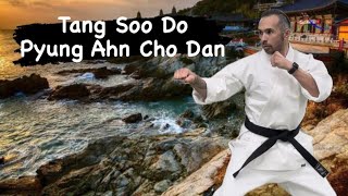 Tang Soo Do Form 4 Pyung Ahn Cho Dan ￼ [upl. by Nojed]