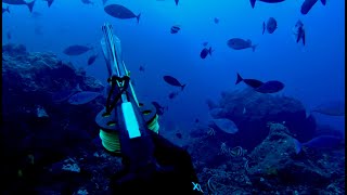 Diving Thru Haze Spearfishing in Hawaii [upl. by Anniala]