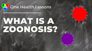 Watch Lesson What is a zoonosis [upl. by Trotter]