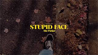 Abe Parker  Stupid Face Official Lyric Video [upl. by Sotos]