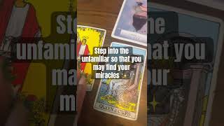 ✨LISTEN TO YOUR HEART AND SOUL NOT YOUR HEAD  MORNING ENERGY READING aries tarot [upl. by Oeramed]