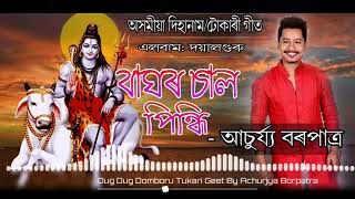 Baghor Saal Pindhi By Achurjya Borpatra Assamese Dihanam Tukarigeet Album Doiya [upl. by Ennagrom123]