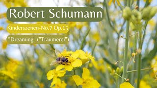 ROBERT SCHUMANN  KinderszenenNo7 Op15quotDreamingquot quotTräumereiquot [upl. by Annaeerb919]