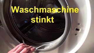 Waschmaschine stinkt riecht Waschmaschine reinigen sauber machen Schimmel Waschmaschine muffig [upl. by Ardnaiek]