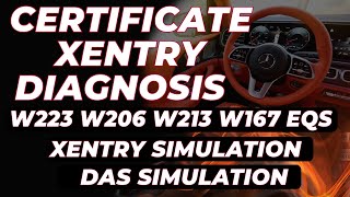 Detailed information Xentry Diagnosis for W223 W206 W213 W167 Xentry Simulation  Das Simulation [upl. by Teraj]