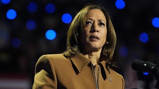 ‘Snowflake’ Kamala Harris freezes after heckler interrupts Michigan rally [upl. by Einnod]