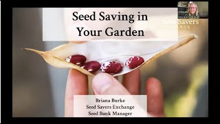 Seed Saving in Your Garden with Seed Savers Exchange [upl. by Nileve13]