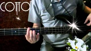 CCRquotCotton fieldsBass cover [upl. by Joell]