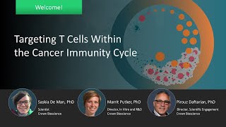 Targeting T Cells Within the Cancer Immunity Cycle [upl. by Anerrol920]