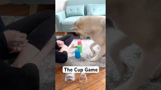 The Cup Game  Mental Stimulation Activity for Dogs [upl. by Leibman]