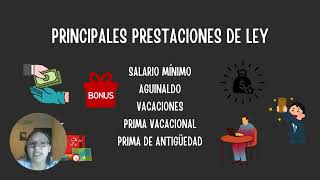 LTF y las prestaciones de ley [upl. by Aihsek]