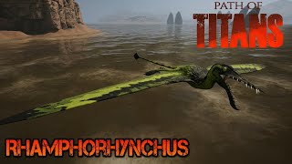 New Dino Rhamphorhynchus  Path of Titans [upl. by Sosna442]