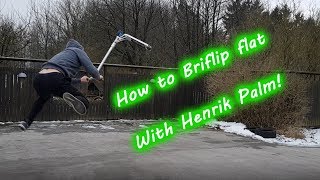 Briflip Tutorial  Henrik Palm [upl. by Caffrey]