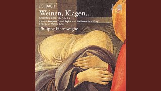 quotWeinen Klagen Sorgen Zagenquot BWV 12 2 Chor quotWeinen Klagen Sorgen Zagenquot [upl. by Sievert52]