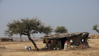 Bedouin Life [upl. by Cordier]