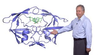 David J Haas part 2 HIV and Structural Biology [upl. by Anikat]