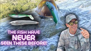 Learn to CATCH MORE FISH with these two BRAND NEW techniques The fish have NEVER seen this before [upl. by Acinej]