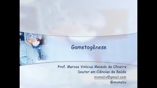 Aula Embriologia  Gametogênese Feminina  parte 1 de 3 [upl. by Anerul]