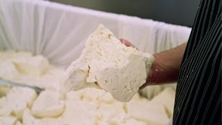 Kirkhams Lancashire Cheese – Farm Visit on Film 2012 [upl. by Jamey639]