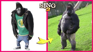 Sing 2 Movie Characters And Their Biggest Fans  Sing 2 In Real Life And Their Other Favorites [upl. by Zilvia]