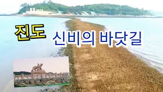 2021년 진도 신비의 바닷길 랜선 축제 2018년 코로나 전 신비의 바닷길  Jindo Miracle Sea Road [upl. by Allesig]