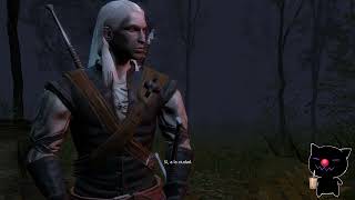 The Witcher cap  14 [upl. by Googins105]