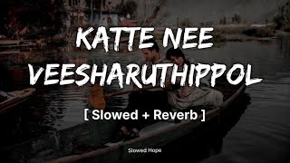 Katte Nee Veesharuthippol 𝐒𝐥𝐨𝐰𝐞𝐝  𝐑𝐞𝐯𝐞𝐫𝐛 K S Chithra  Slowed Hope [upl. by Aihtnis227]