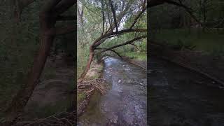 Menomonee River Hart Park Bridge Bagpipes Wauwatosa WI [upl. by Arch]