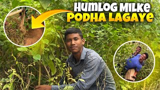 HUMLOG MILKE PODHA LAGAYE  PLANT🌱 [upl. by Carew613]