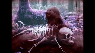 ghosts in the meadow  audiovisual collab with VacheMorte [upl. by Teillo]