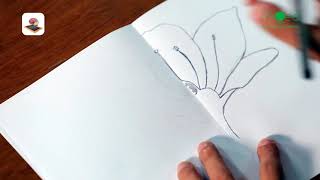 Chapter 2 Drawing practice of Fig 21 LS of a flower showing floral parts on the receptacle [upl. by Oak6]