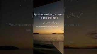 Spouses🤲🏻❤️ allah alquran love islamicquotes quotes nasheed [upl. by Akoyn238]