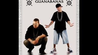 Las Guanabanas Reggaeton Exitos Mix [upl. by Ohnuj559]