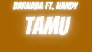 Tamu Barnaba Ft Nandy Cover by Lynn Petra Lyric Video [upl. by Hak698]