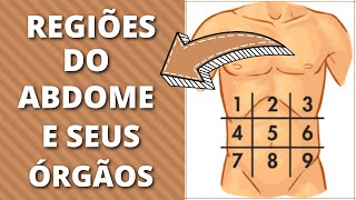 Aprenda as Regiões do Abdome e Seus Órgãos [upl. by Enelrae451]