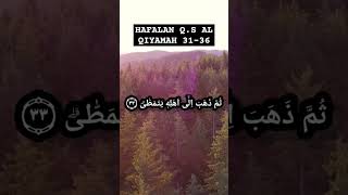 UMMI QS AL QIYAMAH 3136 [upl. by Gnirps899]