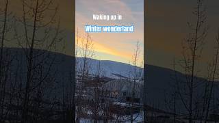 arctic sunrise 🤍🩵💛🩷auroraborealis 💚💙 akureyri travel nordic iceland travelvlog shorts [upl. by Arrej193]