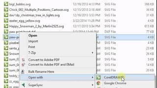 Opening SVG Files [upl. by Raymond]