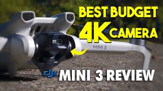 DJI Mini 3 Long Term Review Best Budget 4K Camera Drone [upl. by Synn]