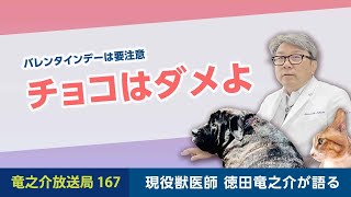 バレンタインデーは要注意チョコは食べさせるの禁止【竜之介放送局167】 [upl. by Kantos]